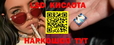 крисы Будённовск