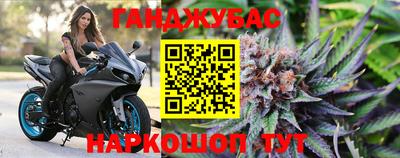 крисы Будённовск