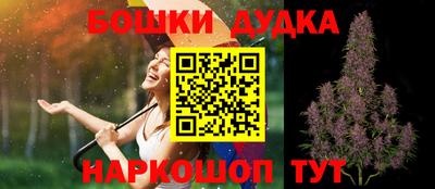 крисы Будённовск