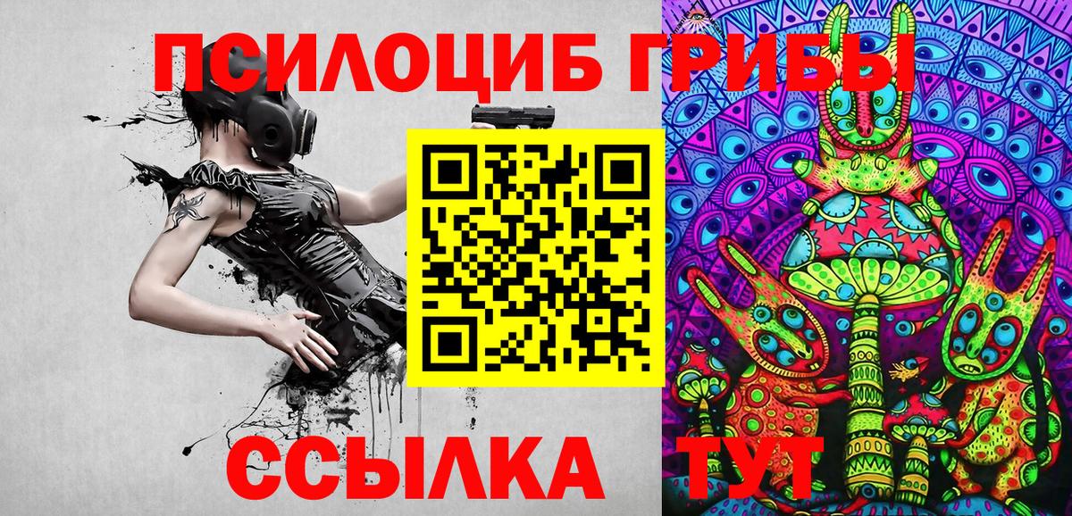 Арсеньев  Галлюциногенные грибы Psilocybe  Вход с VPN 